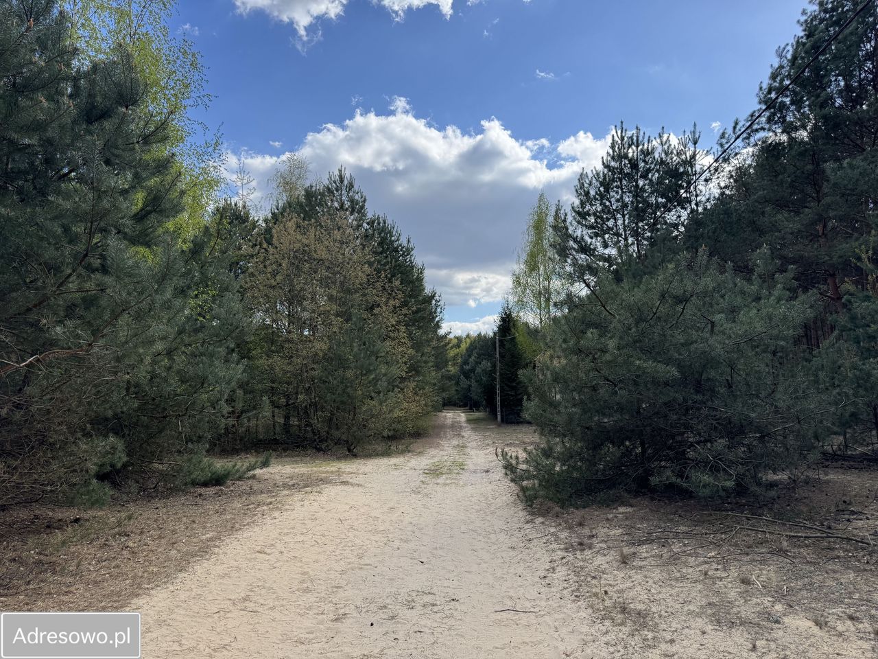 Działka budowlana Gorzewo. Zdjęcie 7