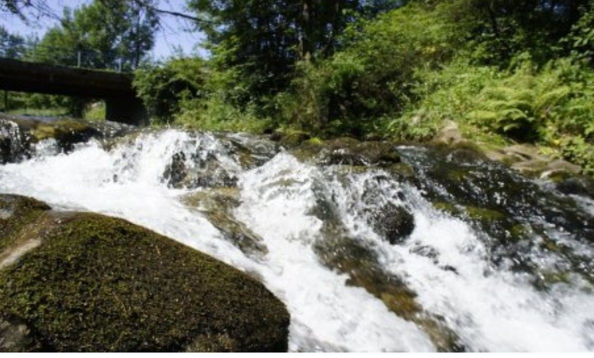 Działka budowlana Zubrzyca Górna. Zdjęcie 4