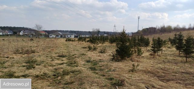 Działka rolna Rosnowo. Zdjęcie 1