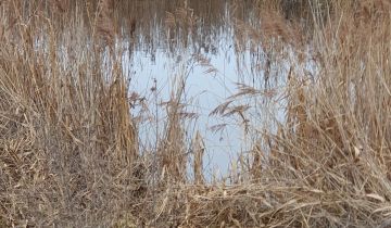 Działka rolno-budowlana Labuszewo