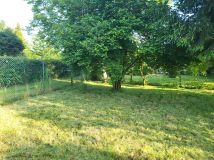 Działka rod Gliwice Wójtowa Wieś, ul. Ignacego Daszyńskiego. Zdjęcie 4