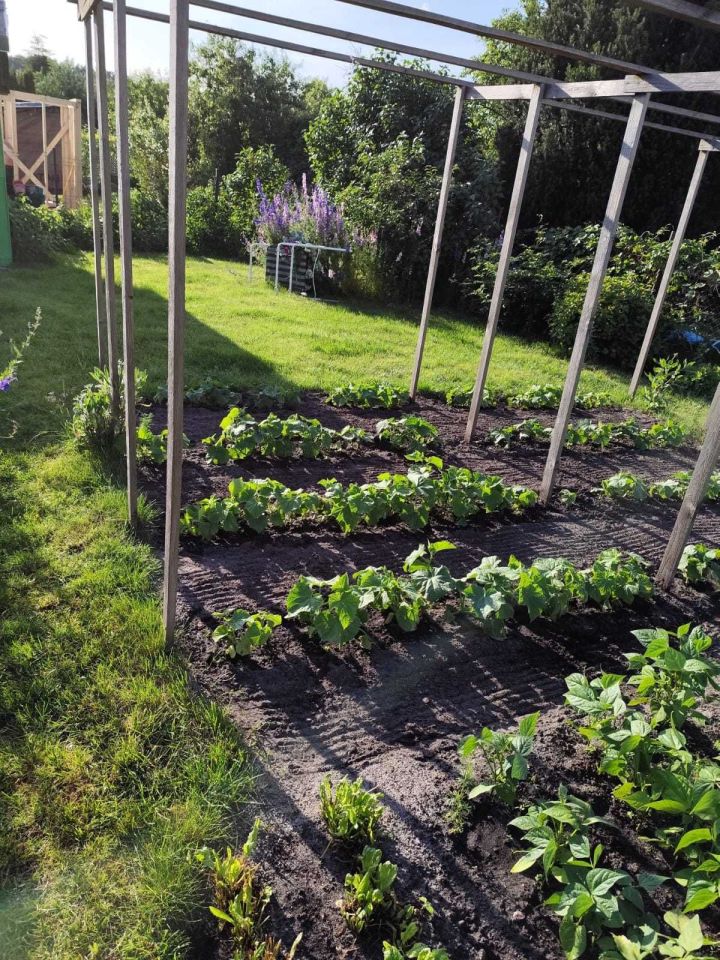 Działka rod Olsztyn Zatorze. Zdjęcie 2