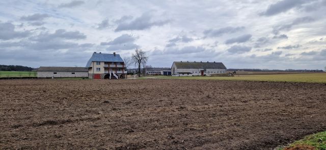 Nieruchomość komercyjna Lisice-Folwark. Zdjęcie 1