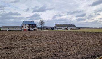 Nieruchomość komercyjna Lisice-Folwark