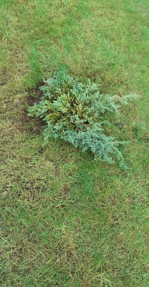 Mieszkanie 3-pokojowe Łódź Widzew, ul. Sobolowa. Zdjęcie 15