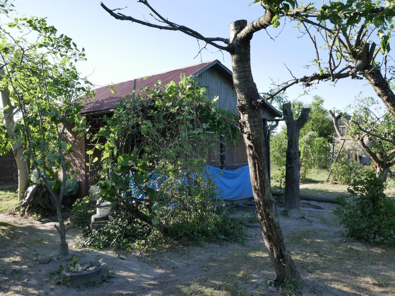 Działka rod Rzeszów Staromieście, ul. Jana Welca. Zdjęcie 2
