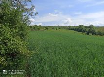 Działka rolno-budowlana Krzesławice. Zdjęcie 2