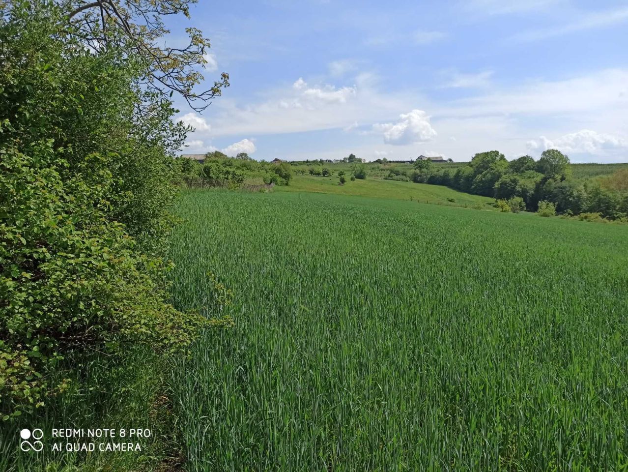 Działka rolno-budowlana Krzesławice. Zdjęcie 3