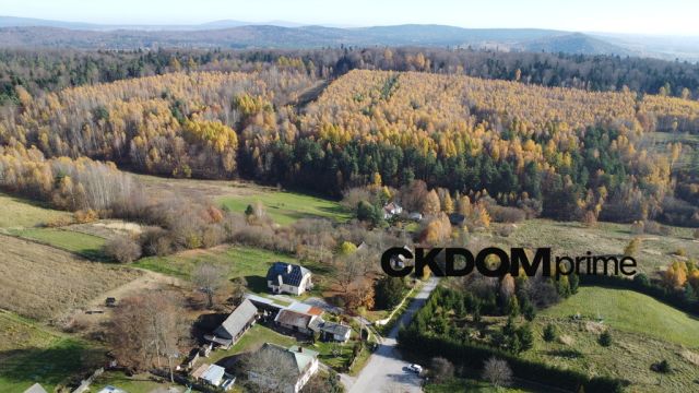 Działka rolna Cisów. Zdjęcie 5