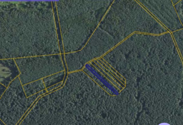 Działka leśna Orliska. Zdjęcie 1