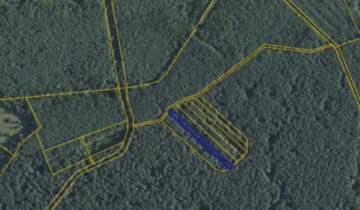 Działka leśna Orliska