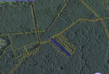 Działka leśna Orliska