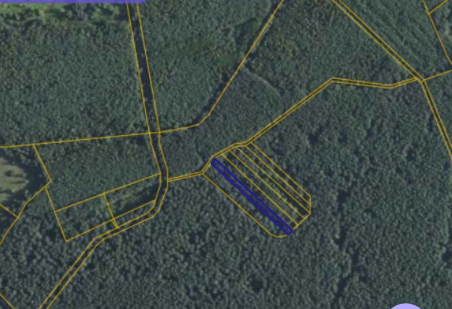 Działka leśna Orliska