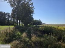 Działka budowlana Niesułków-Kolonia. Zdjęcie 2