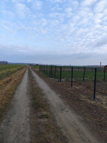 Działka rolna Gnojno. Zdjęcie 1