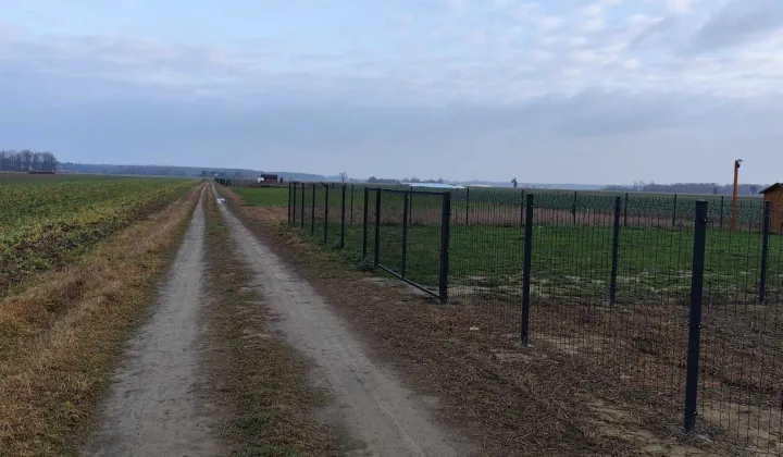 Działka rolna Gnojno