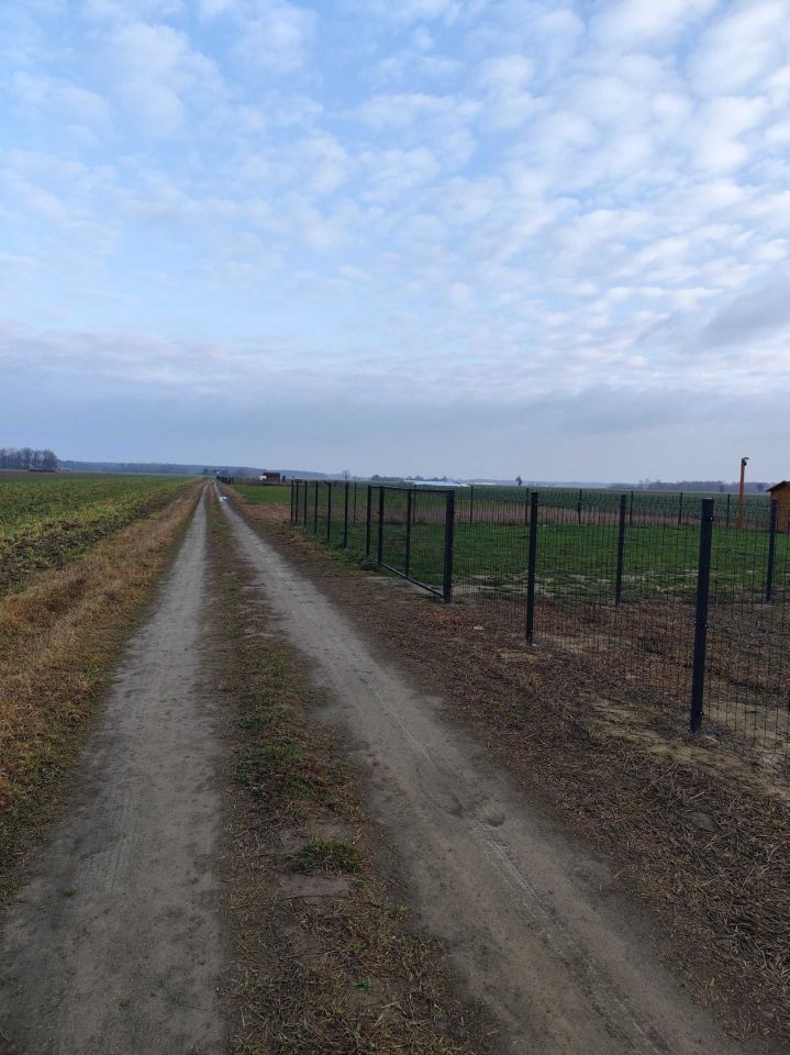 Działka rolna Gnojno