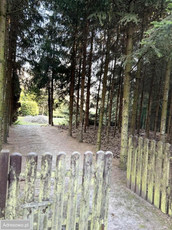 dom wolnostojący, 2 pokoje Gołańcz. Zdjęcie 13