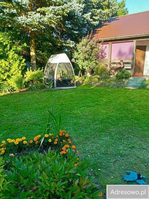 Działka rod Niewodnica Kościelna, ul. Działkowców. Zdjęcie 6