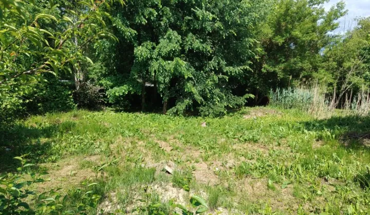 Działka rod Dęblin, ul. Spacerowa
