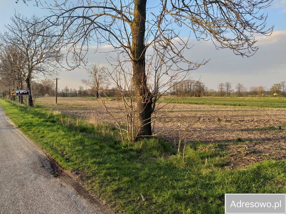 Działka budowlana Zieleniec. Zdjęcie 4