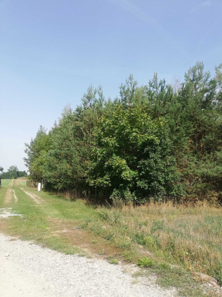 Działka budowlana Obryte. Zdjęcie 2