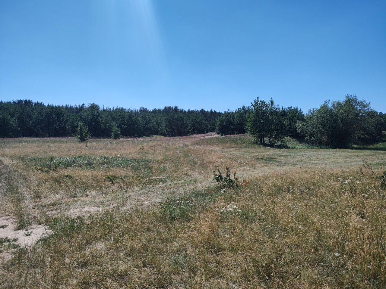 Działka rolna Słomianka Sępiki. Zdjęcie 8