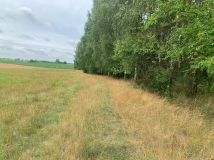 Działka rolna Różyn. Zdjęcie 3