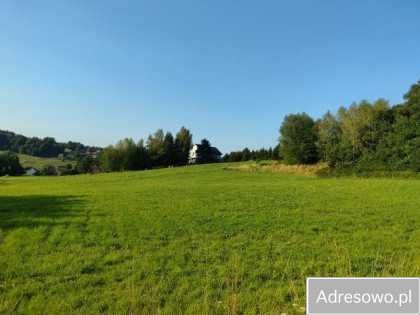 Działka budowlana Janowice