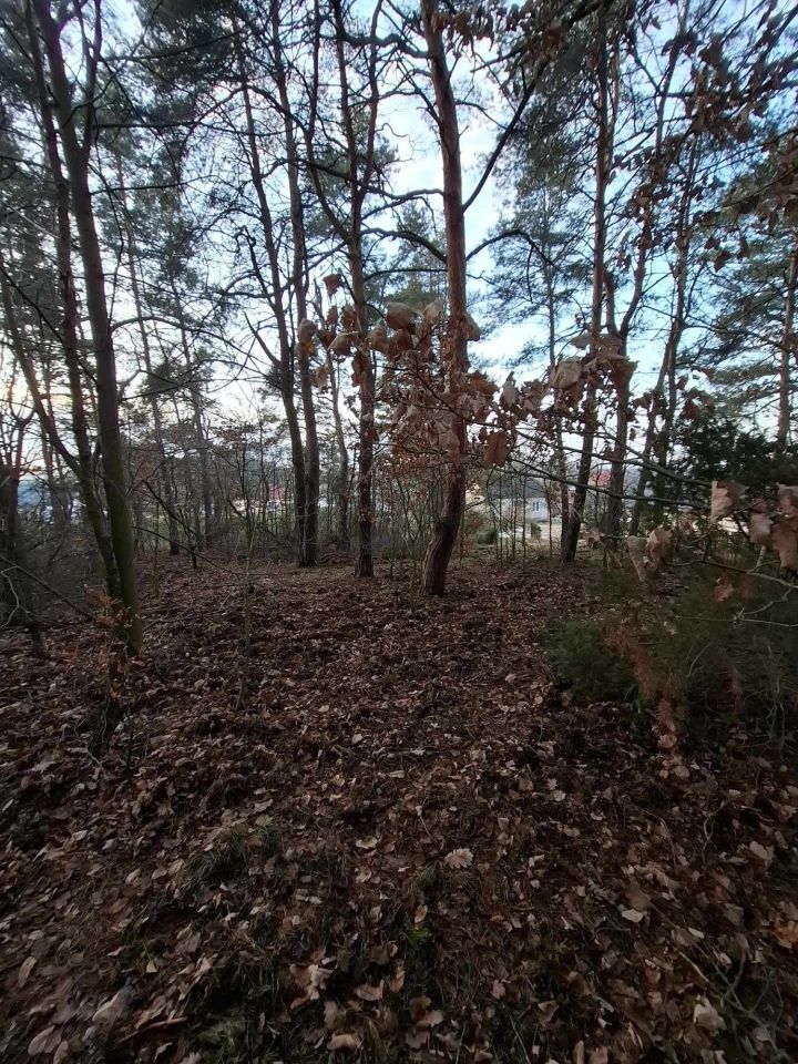 Działka Sadek. Zdjęcie 5