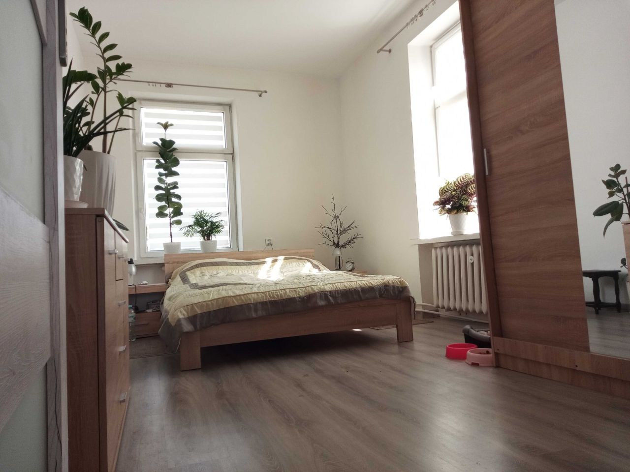 Mieszkanie 2-pokojowe Miłomłyn. Zdjęcie 2