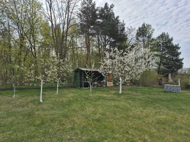 Działka rod Nowy Świat. Zdjęcie 1