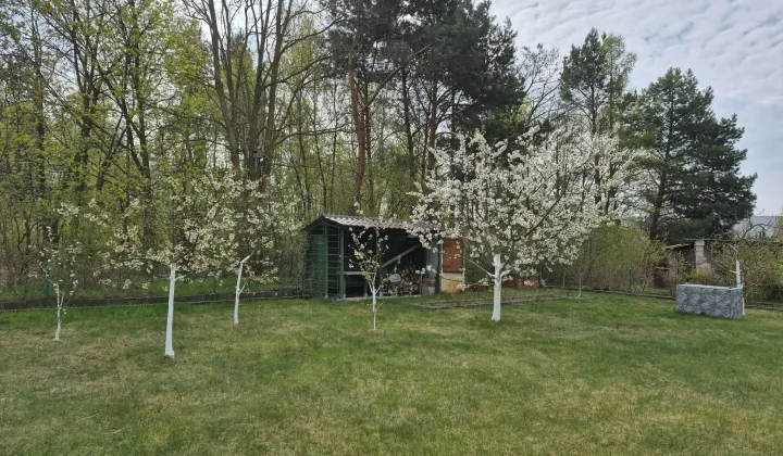 Działka rod Sulechów, ul. Gajowa