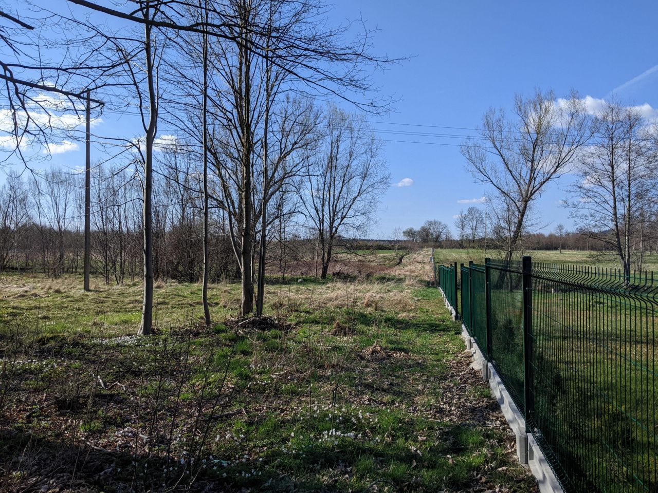 Działka budowlana Wolimierz. Zdjęcie 2