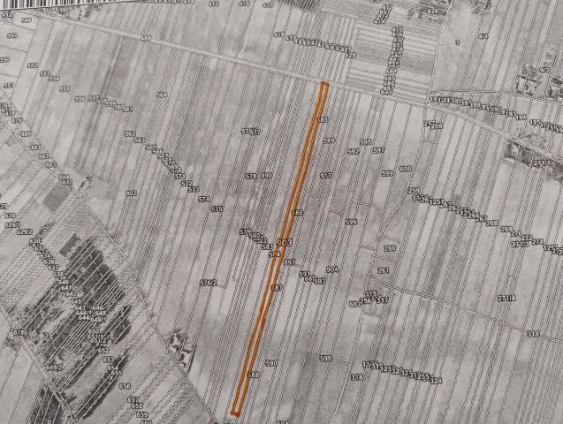 Działka rolna Trzciniec. Zdjęcie 1