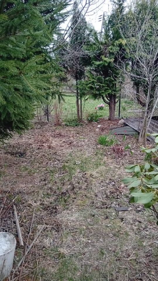 Działka rod Łomianki, ul. Łąkowa. Zdjęcie 5