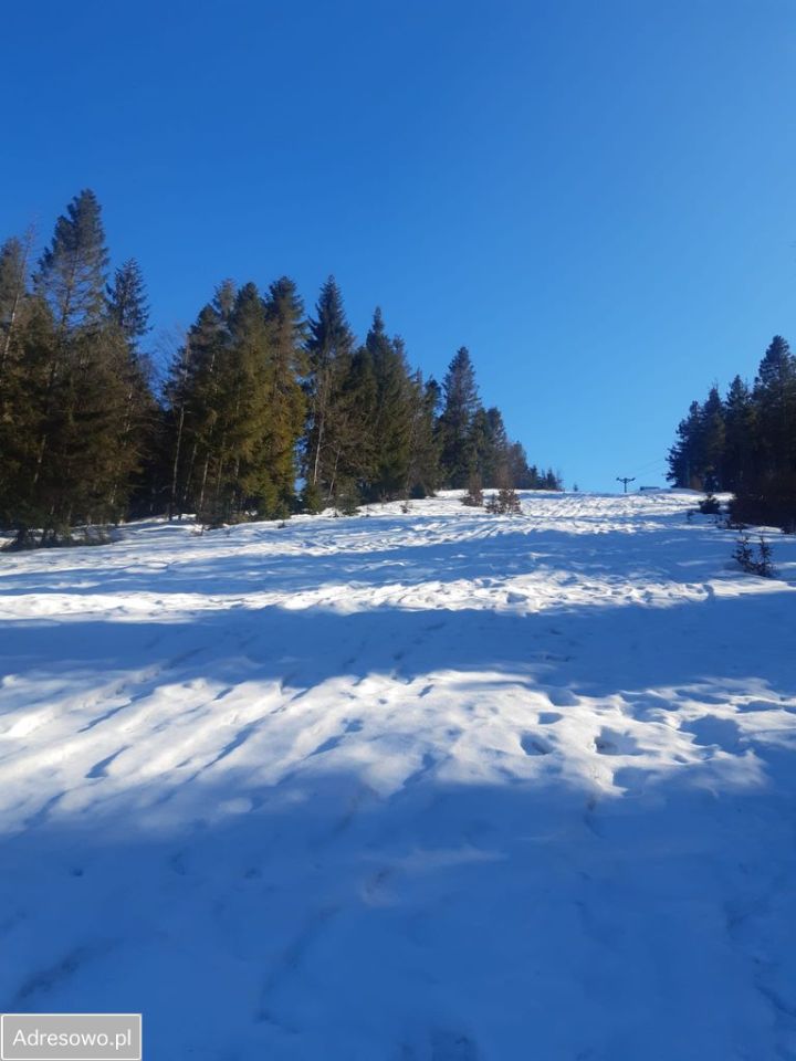 Działka inwestycyjna Brenna. Zdjęcie 6