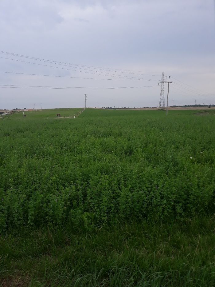 Działka budowlana Gniezno, ul. Okopowa. Zdjęcie 3