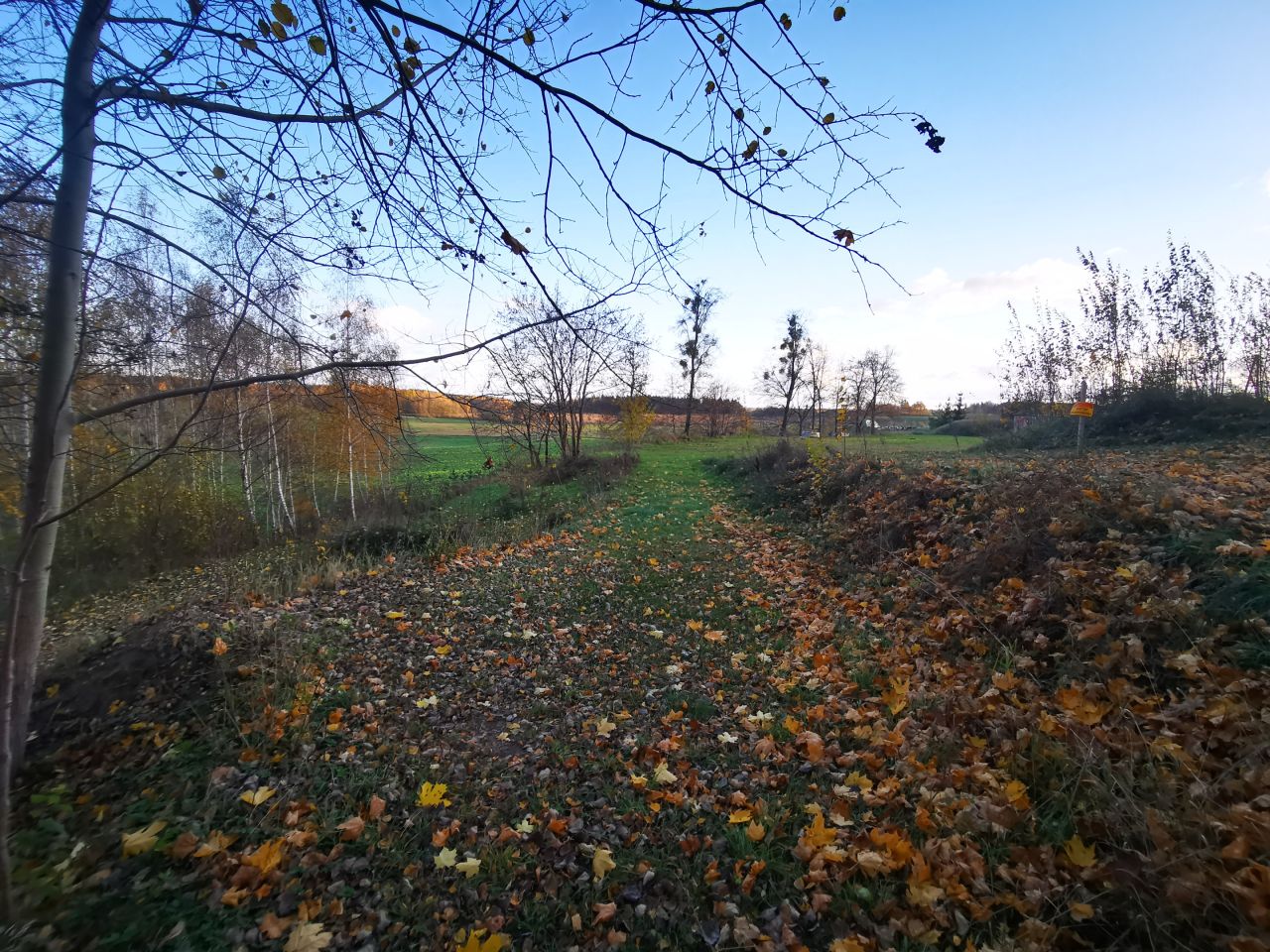 Działka budowlana Bisztynek. Zdjęcie 10