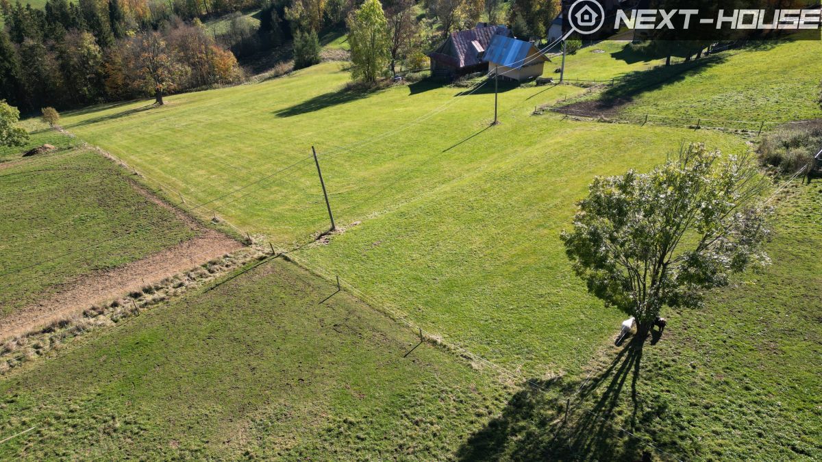 Działka inwestycyjna Ząb. Zdjęcie 7