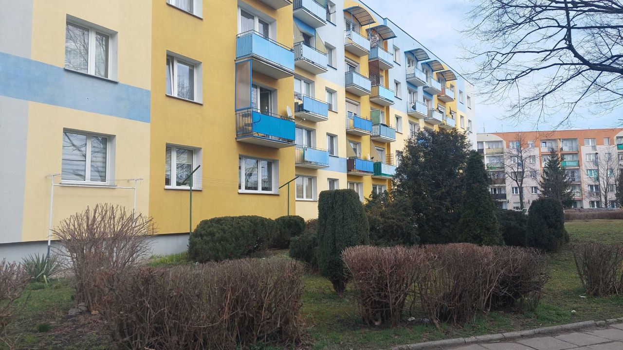 Mieszkanie 2-pokojowe Nysa, ul. Janusza Korczaka