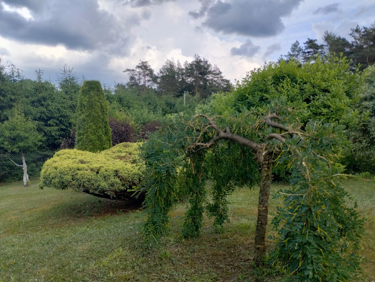 dom wolnostojący, 6 pokoi Młynowo. Zdjęcie 16