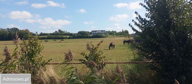 Działka rolno-budowlana Kopań. Zdjęcie 1