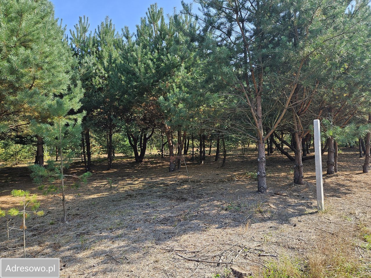 Działka budowlana Miedniewice. Zdjęcie 12