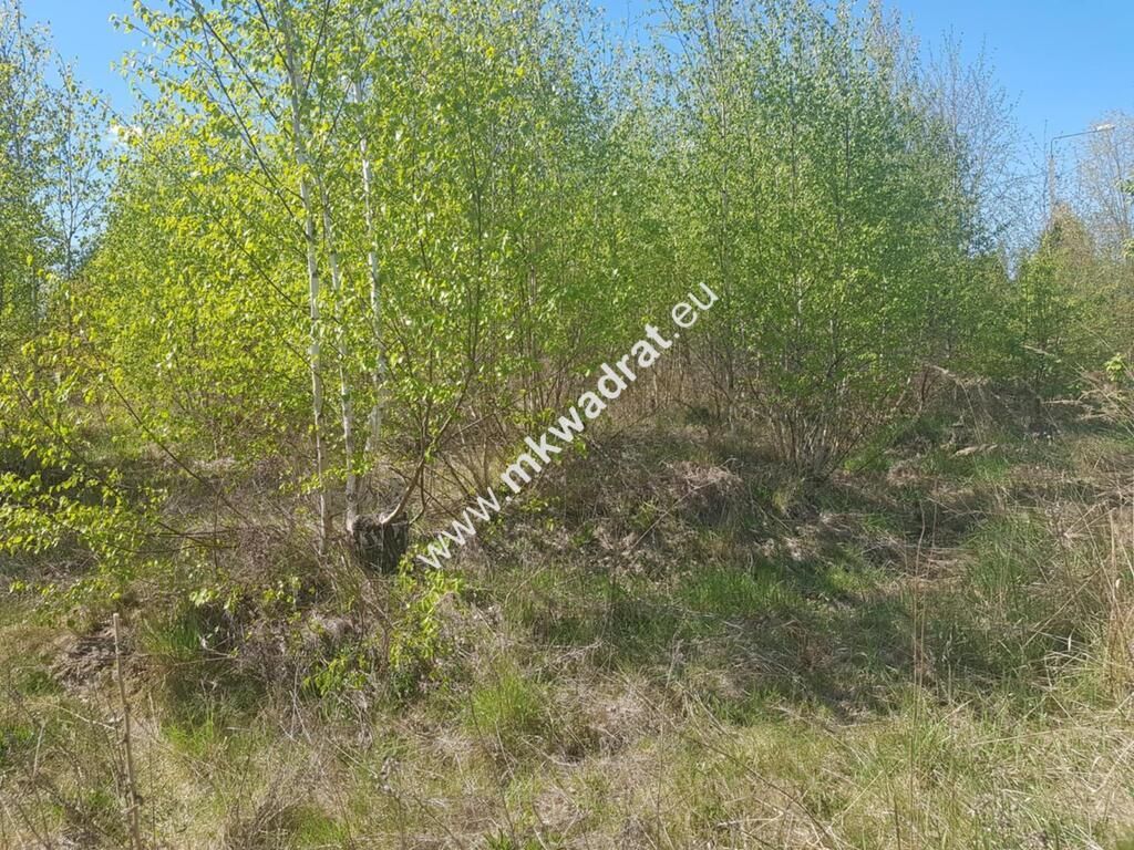 Działka budowlana Rusiec, www.mkwadrat.eu. Zdjęcie 6