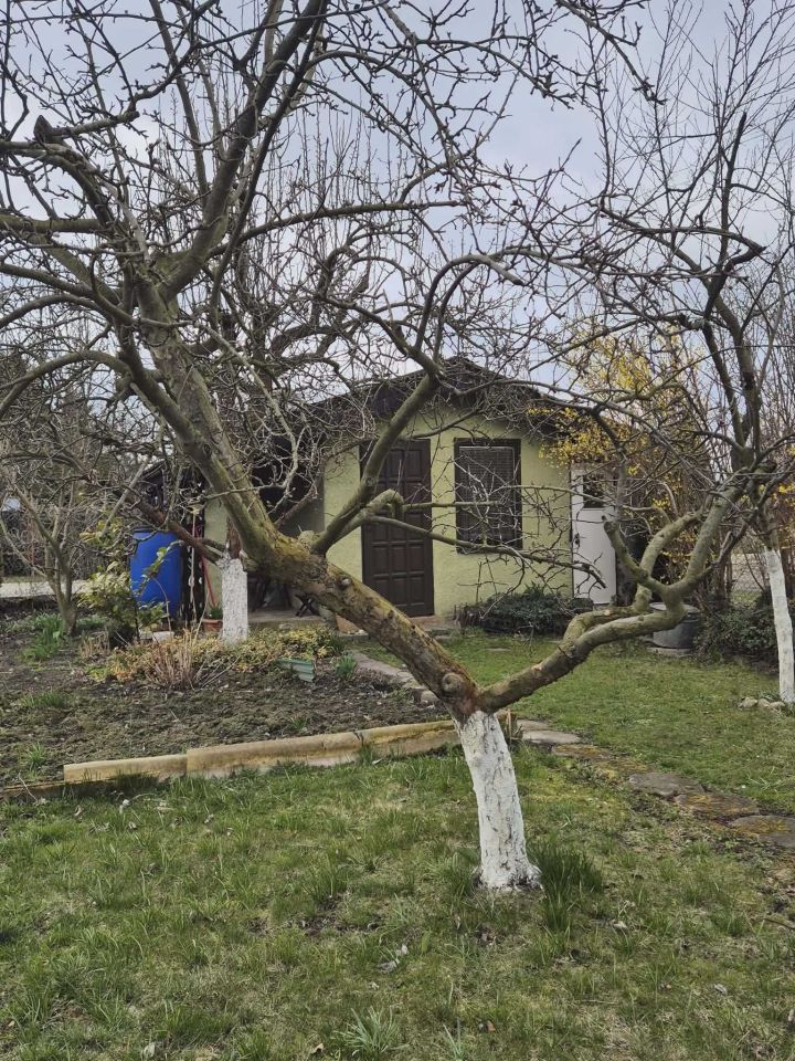 Działka rod Syców. Zdjęcie 2