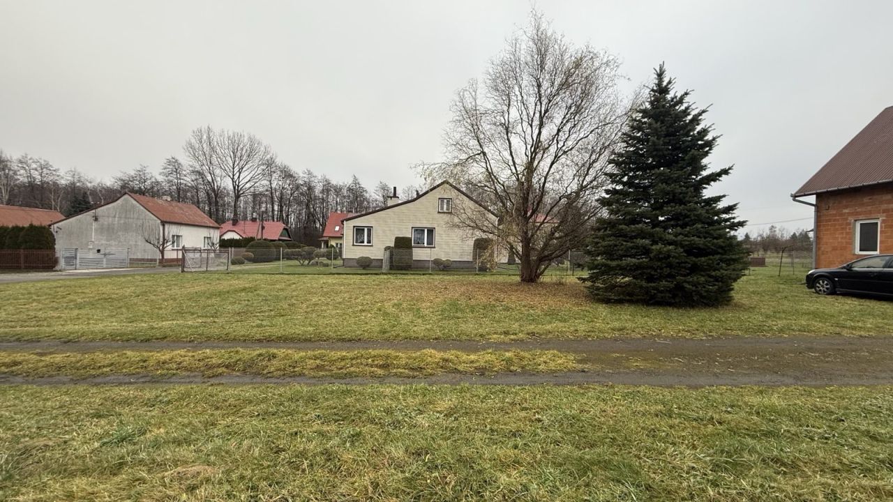 Działka rolno-budowlana Strażów. Zdjęcie 10