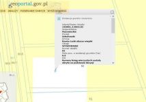 Działka leśna Wyszomierz. Zdjęcie 1