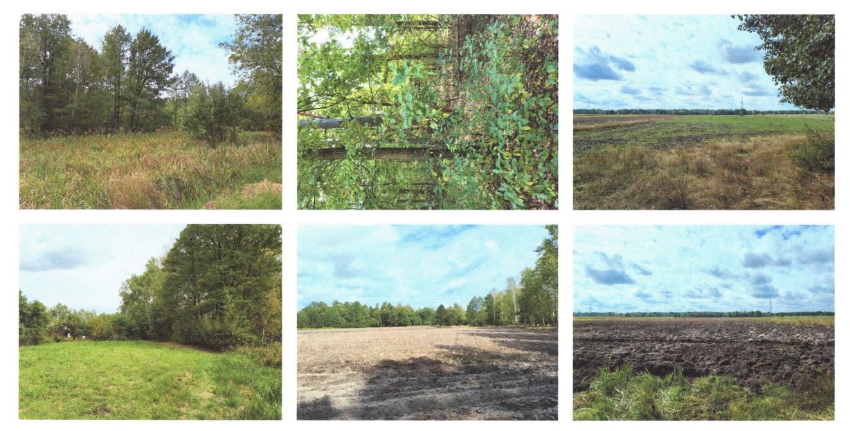 Działka rolna Zynie. Zdjęcie 5