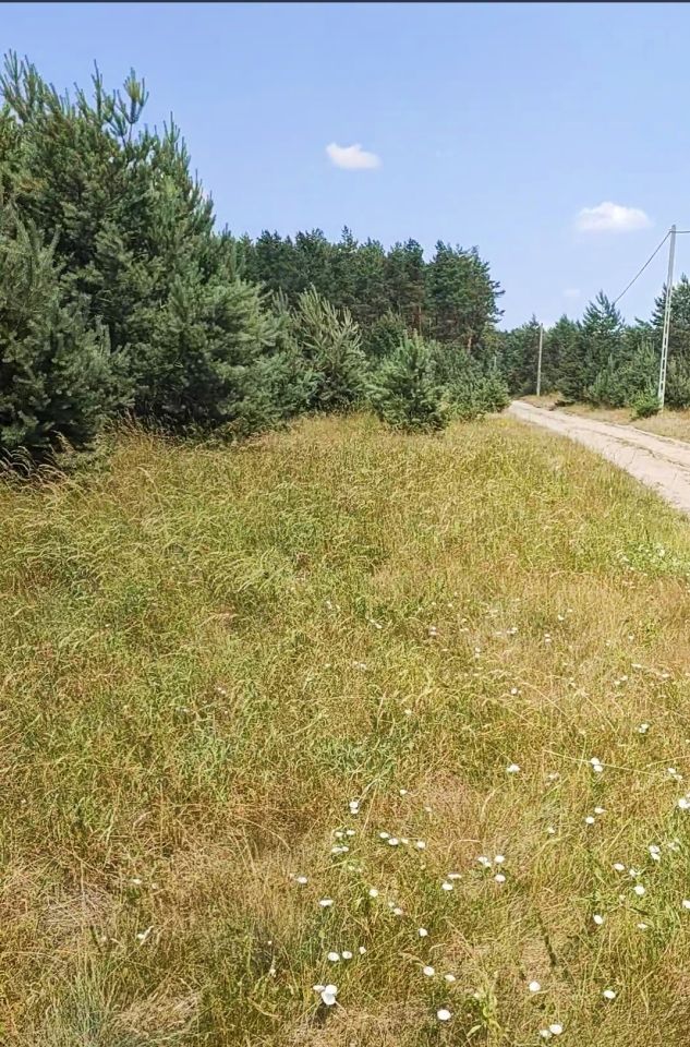 Działka rolno-budowlana Mącice. Zdjęcie 3